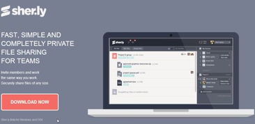 2013年11月 為網(wǎng)站設計與開發(fā)人員精選的實用工具